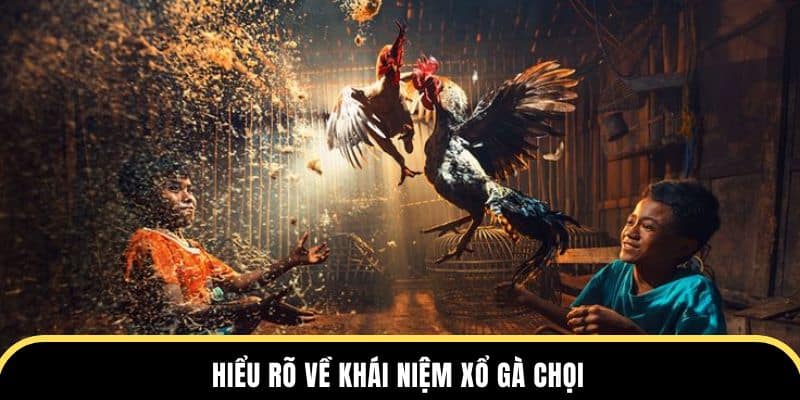 Hiểu rõ về khái niệm xổ gà chọi tại trường đá gà thomo