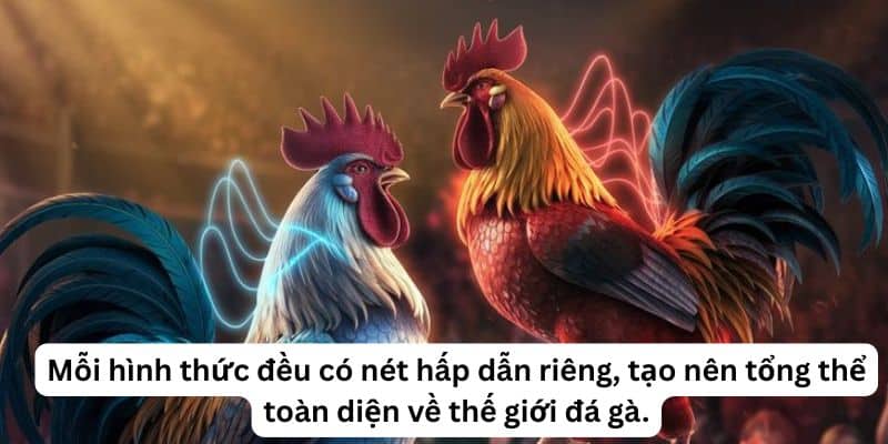 Mỗi hình thức đều có nét hấp dẫn riêng, tạo nên tổng thể toàn diện về thế giới đá gà