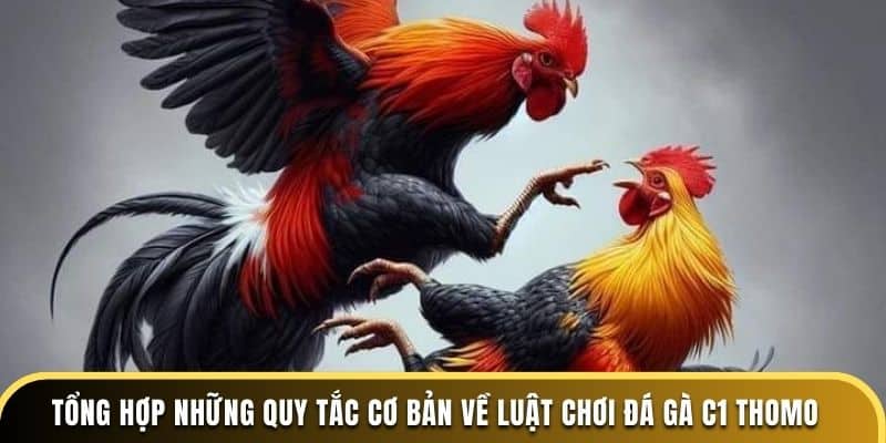 Tổng hợp những quy tắc cơ bản về luật chơi đá gà C1 Thomo tại dagathomo